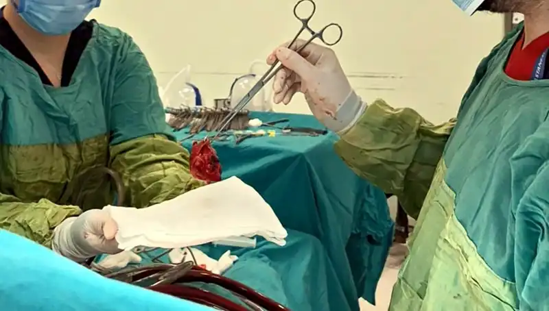 Kalp Ameliyatında Mucize: 7 Saat Süren Hayati Müdahale