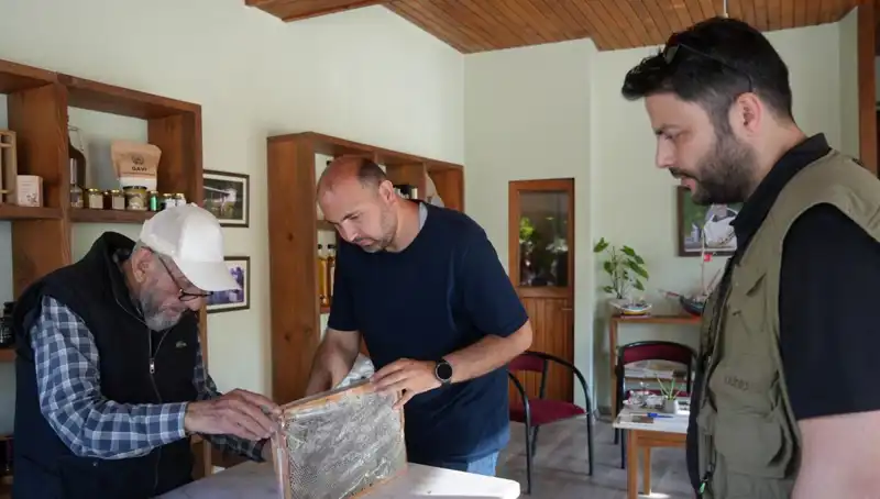 Hem Şifa Hem de Zehir: 1 Çay Kaşığı Doktor Tavsiyesiyle Tüketilmeli