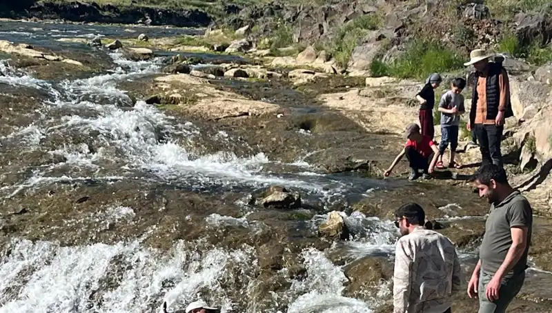 İnci Kefali Göçü: Doğa Harikasını İzlemek İçin Yüzlerce Turist Toplandı