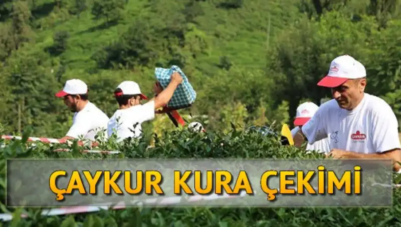 Çaykur Canlı Kurası: İsim Listesine Ulaşmanın Yolları Neler?