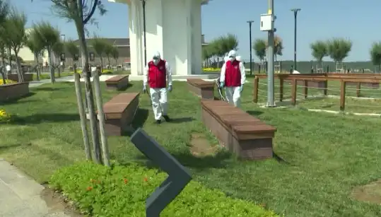 Kene Gözlemleri Artıyor: Halka Açık Alanlarda Acil İlaçlama Başladı