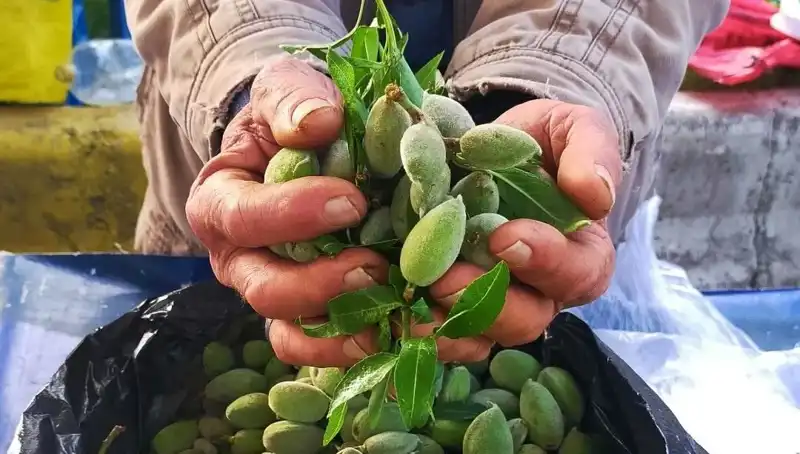 Baharın Mıknatısı: Kilosu 250 TL'ye Yeni Sezon Sebzeleri Pazar Tezgahlarında