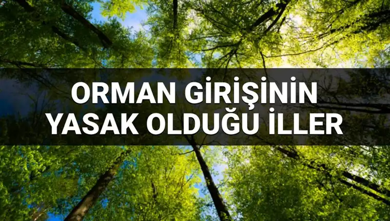2025 Yılı İçin Orman Girişine Yasaklanan İller Hangileri?