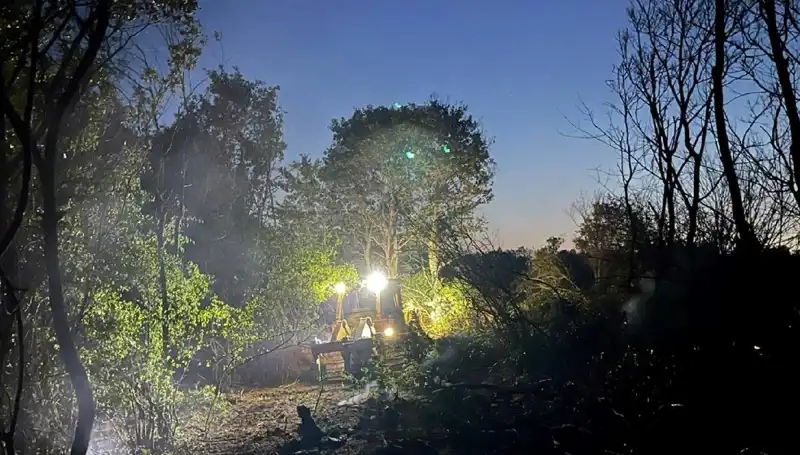 Edirne'deki Orman Yangını Kontrol Altına Alındı: Doğa Yeniden Nefes Alacak