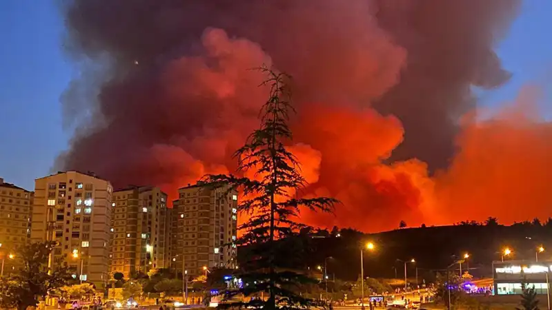 Bursa'da Korkutan Yangınlar: Şehir Sadece Alevlerle Değil, Duygularla Yandı!