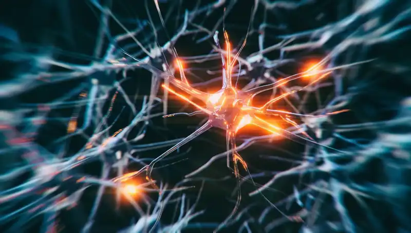 Alzheimer Vakalarındaki Keskin Artışın Nedeni Nedir? Çarpıcı Gerçekler