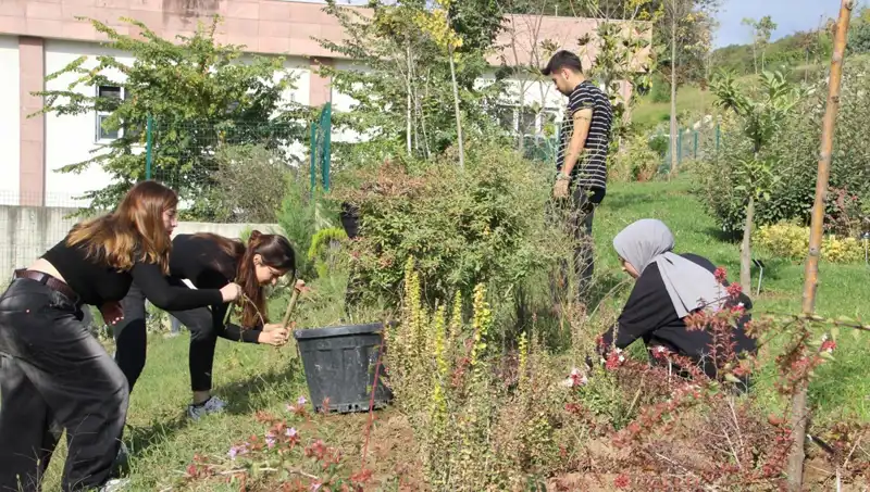 Düzce'den Dünyaya: Hayalini Gerçeğe Dönüştüren Girişimci