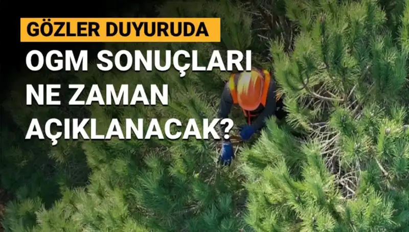 Orman Genel Müdürlüğü Personel Alımı: 3.477 Kişilik Sonuçlar Ne Zaman Açıklanacak?