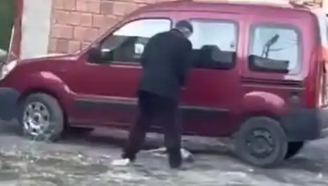 Sokak Ortasında Köpeğe Yapılan Şiddet Olayı İle İlgili Şok Edici Gelişmeler