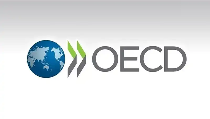 Türkiye Ekonomisi için OECD’nin Büyüme Tahminleri: Beklentiler ve Gerçekler