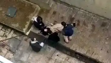 Kampüs Alanında Heyecan Dolu Anlar: Köpek Paniği Sonrası Kaza